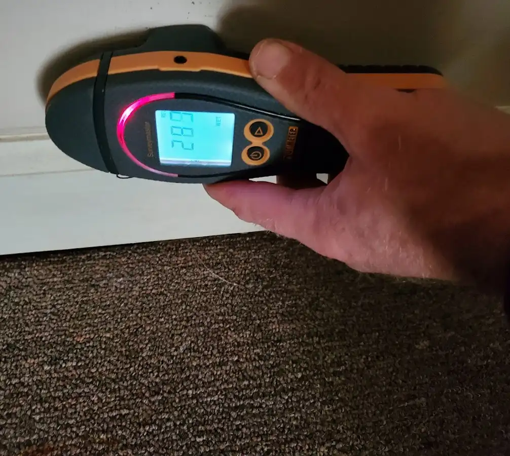 Moisture detection at baseboard during Sewage Cleanup & Sanitation in Longwood